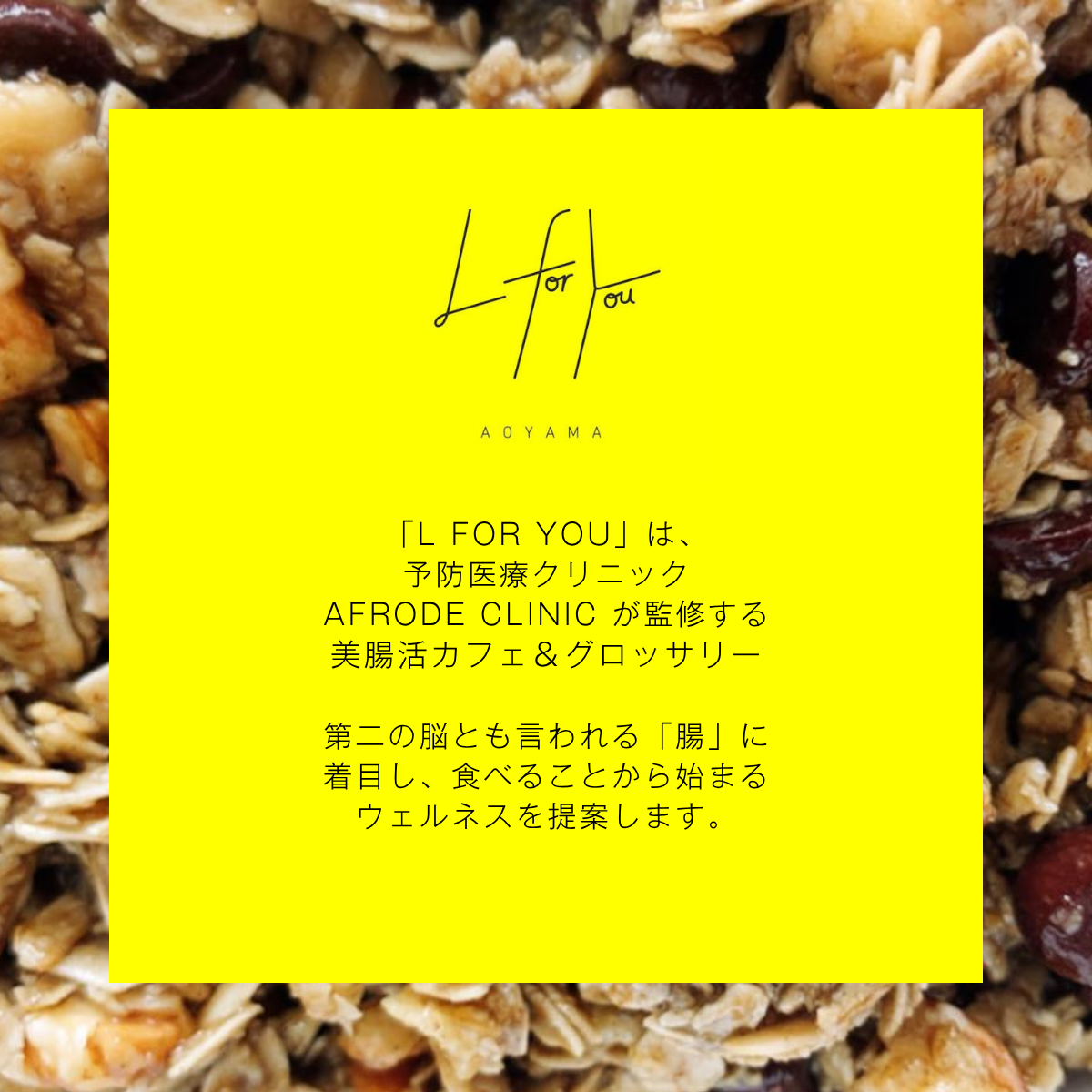 オートミールクッキー＜チョコチップ＆クルミ＞