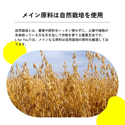 グルテンフリークッキー＜6枚セット＞