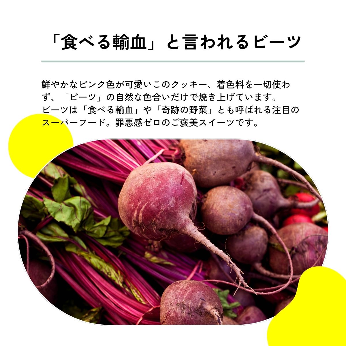 グルテンフリークッキー＜6枚セット＞