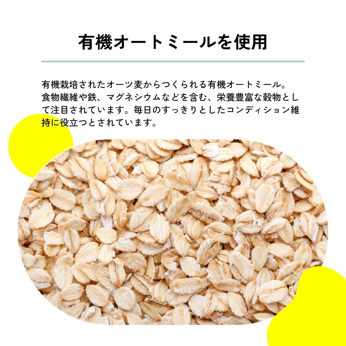 グルテンフリークッキー＜6枚セット＞